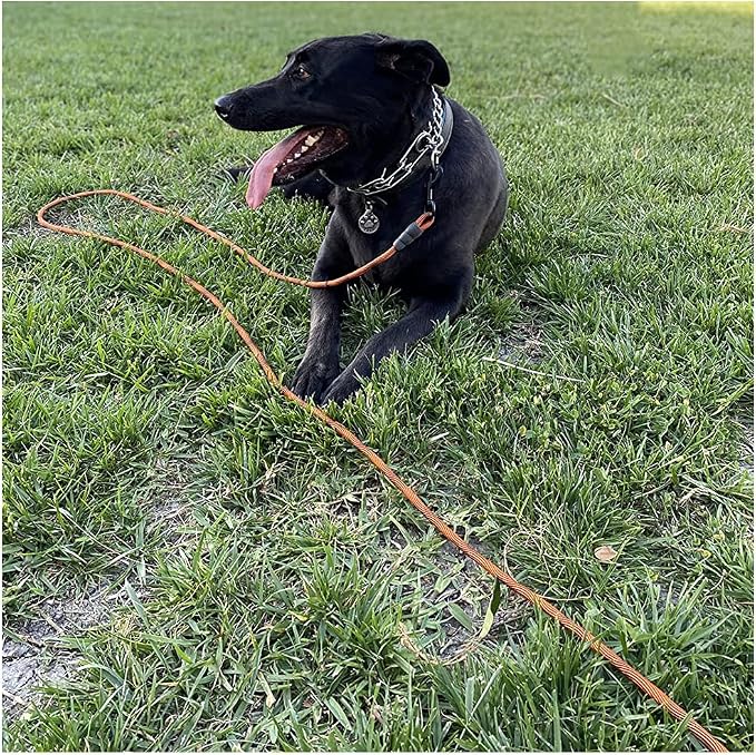 BTINESFUL Tie-Out Check Cord Long Rope Dog Leash, 8ft 12ft 20ft 30ft 50ft Recall Training Lead Leash- Great for Large Medium Small Dogs Training, Playing, Camping, or Backyard (20ft, Orange Black)