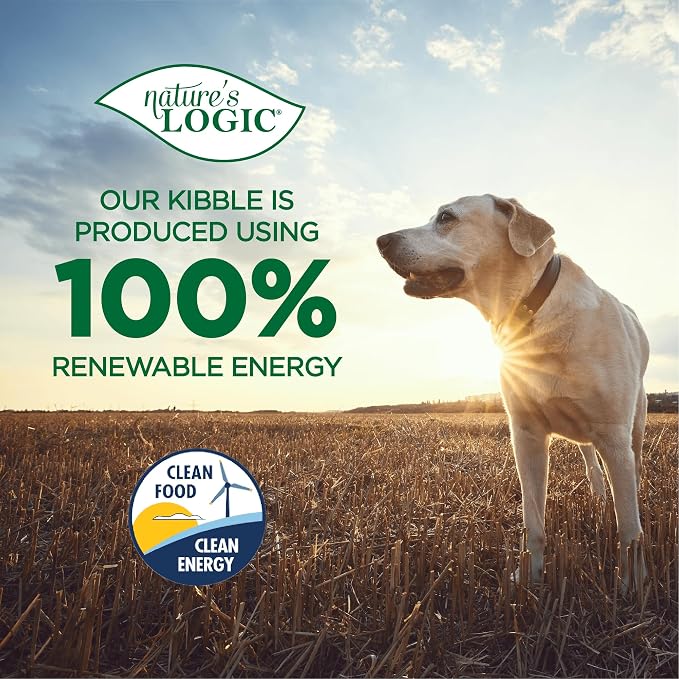 Nature's Logic All Natural Beef Tendon Chew - 100% Natural Treats for Dogs - Promotes Dental Hygiene - Recreational Chewing Dog Chews for Large and Small Breeds, Made in USA - Beef Tendon Treat