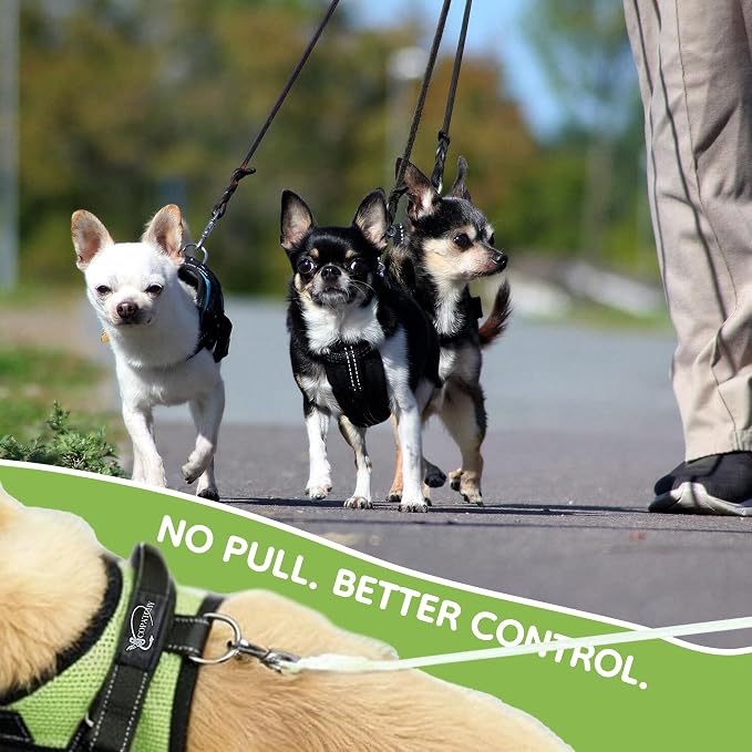 No Pull Reflective Adjustable Dog Harness with Handle- Comfortable Soft All Weather Mesh, Easy On Puppy Harness for Small Medium and Large Dogs (Green) X-Small