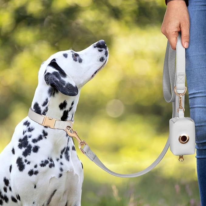 PET ARTIST Soft PU Leather Dog Collar for Small Dogs, Bright & Classic Nylon Padded Durable Dog Collar Leather with Quick Release Metal Buckle Adjustable for Male Dogs, Neck Fit 9-14"