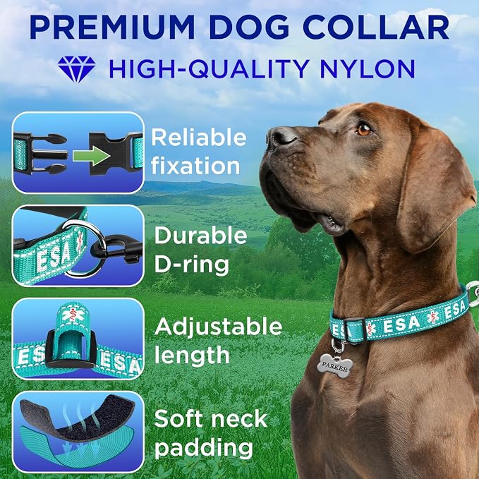 TECEUM Reflective Pet Collar – Teal - ESA – M – Extra Soft Padding – Basic Nylon Dog Collar – Quick Release Buckle – Fits Small, Medium and Large Dogs, Puppies, Cats – ESA & Service Dog Options