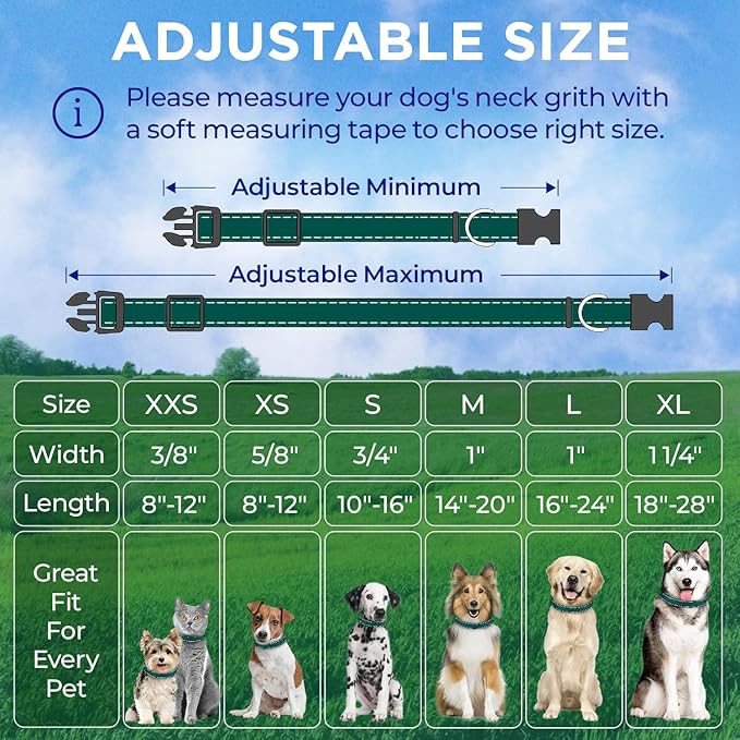 TECEUM Reflective Dog Collar – Dark Emerald Green – S – Extra Soft Padding – Basic Nylon Pet Collar – Quick Release Buckle – Fits Small, Medium and Large Dogs, Puppies, Cats