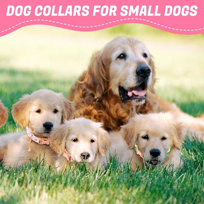 3 Pack Floral Dog Collars for Small Dogs Pink Dog Collar with Flower Pendant for Girl Female Dogs Adjustable Puppy Collars Pet Collar (9-14.5 inch)