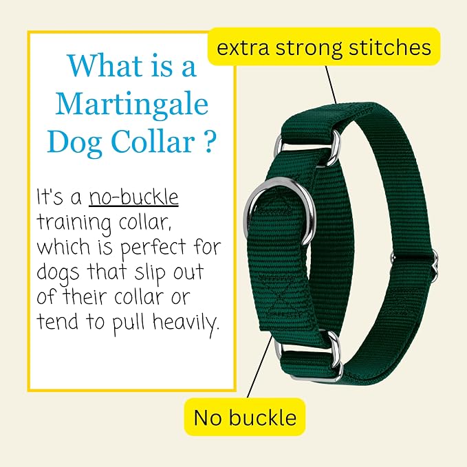Country Brook Petz - Martingale Dog Collar - Heavy-Duty Training Collar with No Buckle - Service Dog Collar for All Pups - 20 Vibrant Colors (Green, 3/8 Inch, 3XS)