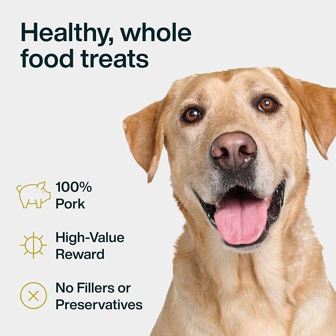 JustFoodForDogs Single Ingredient Healthy Dog Treats and Dog Snacks, Jerky Treats, Human Grade, Preservative and Grain Free, Rawhide Free Chews, Low Calorie Treat - Pork, 5 oz