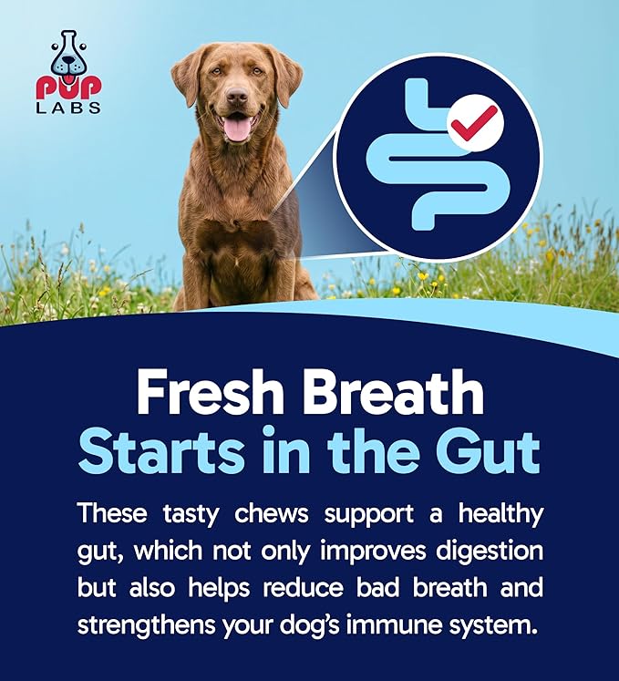 Pup Labs Fresh Breathies, All-Natural Dental Chews for Dogs, Dog Breath Treatment That Supports Gut Health and Immune System, Dog Teeth Cleaning Chews, Dental Treats for Dogs Made in The USA, 30 Count