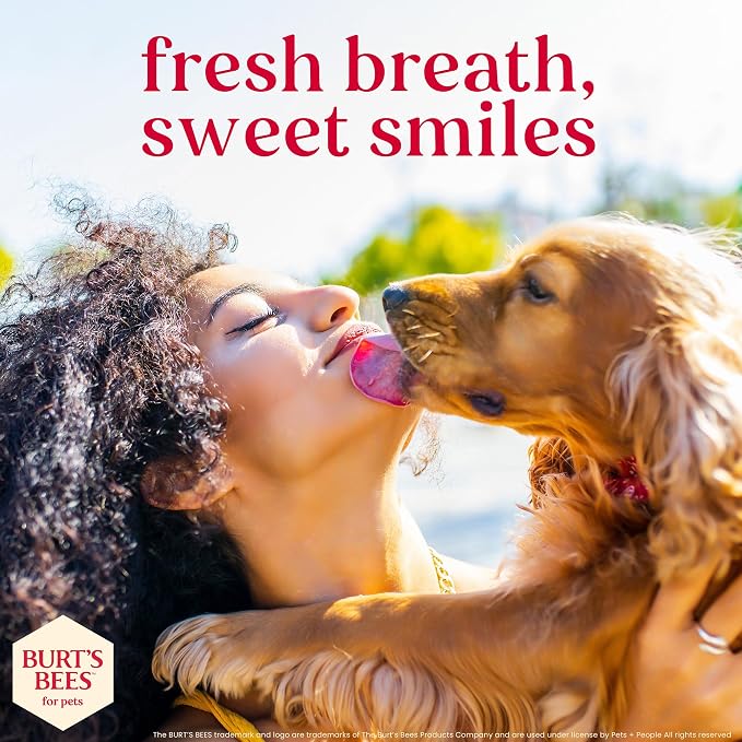 BURT'S BEES FOR PETS Dental Treats for Dogs with Manuka Honey & Ginger, 98% Natural Origin, Holistic Oral Care, Freshens Breath, Peanut Butter Flavor, Medium/Large Size, 5 ct, 7.0 Oz