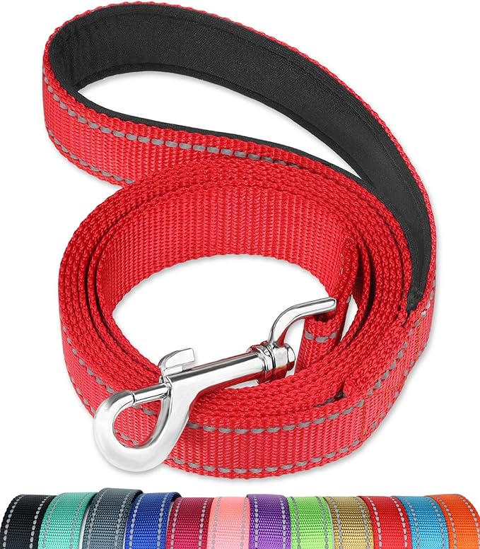 FunTags 6FT Red Reflective Dog Leash for Medium & Small Dogs Walking, Soft Padded Handle Comfortable Grip, Heavy Duty Nylon, Reflective for Night Walking, 3/4in Wide