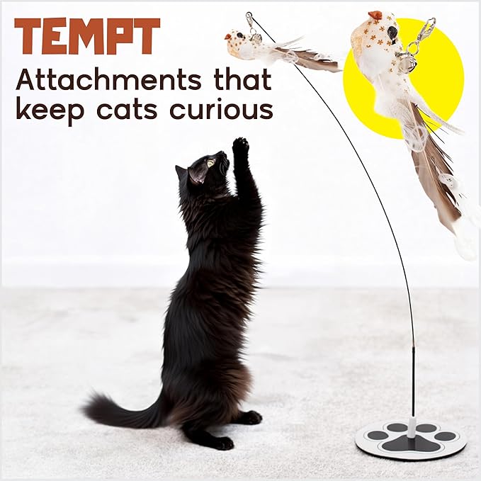 Interactive Cat Toys for Indoor Cats - 5 Replacement Feathers with Bells - Teaser Wand Toy - Self Play Bird Simulation - Bored Adult Feline Hunting Solo Chaser Activity - Kitten Juguetes para Gatos