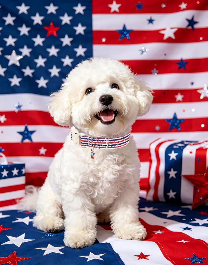 Maca Bates 4th of July Dog Collar with Flag Charm for Medium Girl Boy Dogs, Star Stripes Pattern,Pretty Adjustable Durable Collars Blue Independence Day Gift for Male Female Puppy