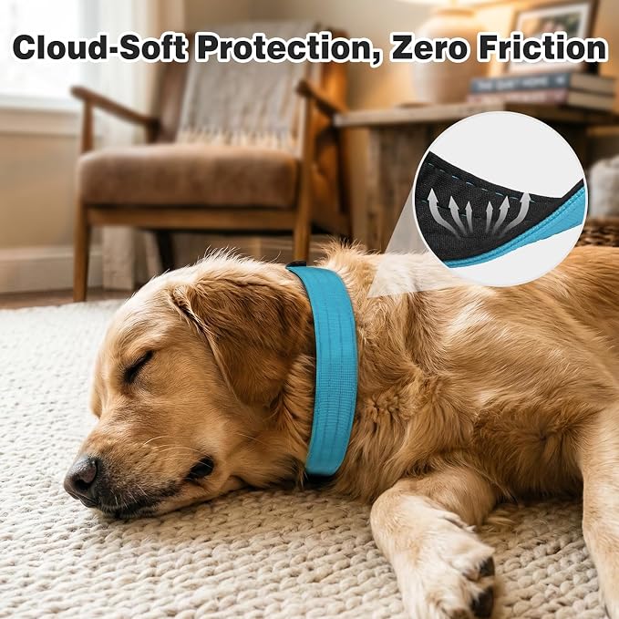 Joytale Tactical Dog Collar for Medium Dogs with Control Handle, Heavy Duty Military Training Collar for Power Breeds, AirTag Holder Case, Quick Release Metal Buckle, Soft Padded, M, Sky Blue