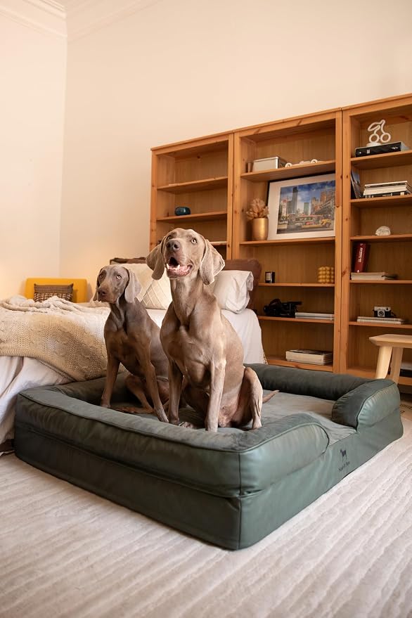 NOAH & PAW Giant Dog Bed XXL, 55x45x11 Inch, Orthopedic Dog Beds, Eggshell Memory Foam Infused with Cooling Gel, Inner Cover, Water Resistant, Machine Washable (Faux Leather)