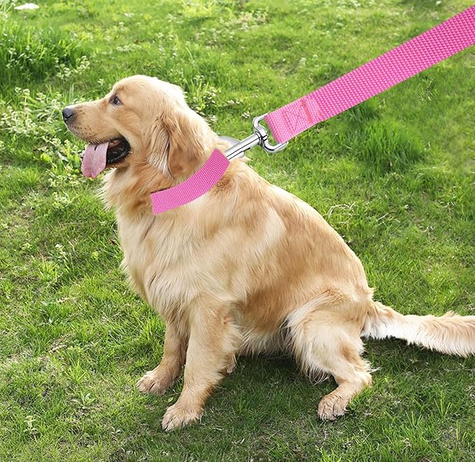 TAIAN 4 FT Strong Dog Leash, Nylon Dog Leashes for Small Medium Large Dogs Pink