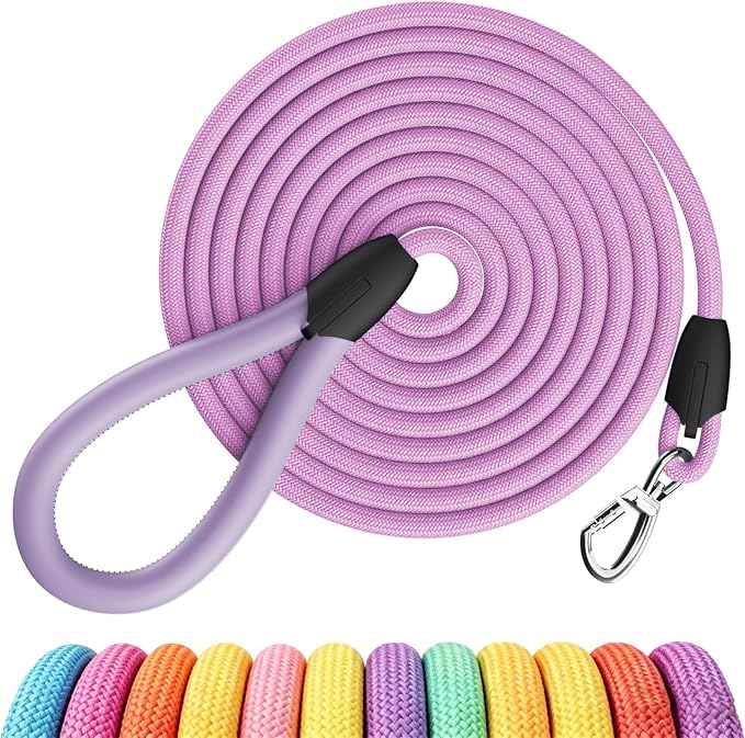 Walking Lead 5ft, Purple Pet Leash for Dogs,Only Leather Mold Handle Design, Ergonomic Soft Touch Grip,Reinforced Heavy Duty Webbing,Stylish Daily Training Lead,Elegant Bright Colors(Lavender,5 FEET)