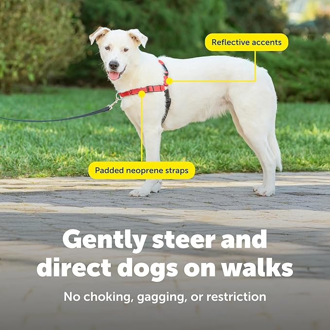 PetSafe Easy Walk Deluxe Dog Harness, No Pull Dog Harness Perfect for Leash & Harness Training Stops Pets from Pulling and Choking on Walks Medium/Large, Rose