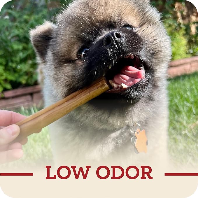 Redbarn Pet Products All-Natural Large 12" Beef Collagen Sticks for Dogs - Long Lasting Low-Odor Alternative to Traditional Rawhide & Bully Sticks - Supports Healthy Joints, Skin, & Coat - 3 Pack