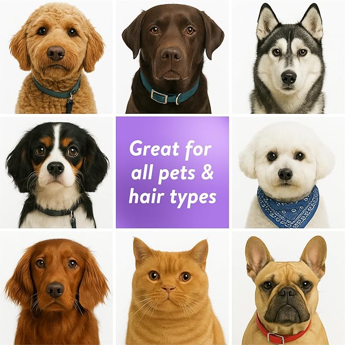 Bodhi Dog Waterless Shampoo - No Rinse Dry Shampoo for Dogs & Cats - Naturally Neutralizes Pet Smelly Odor - Safe for Puppies, Allergies & Sensitive Skin - Made in USA - Lavender (17 Fl Oz)