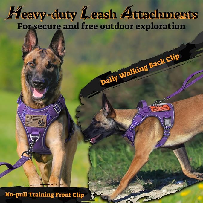 rabbitgoo Tactical Dog Harness for Large Dogs No Pull Adjustable Military Vest with Handle MOLLE Reflective Heavy Duty Dog Vest for Walking Training Hunting Outdoor Working Medium Size Dog Purple L