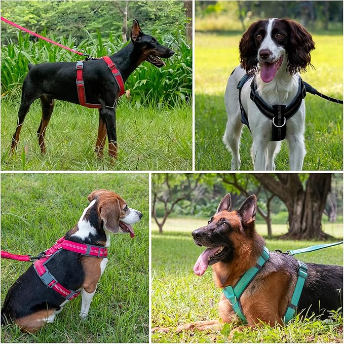 Plutus Pet No Pull Dog Harness, Adjustable Nylon Harness with Soft Padding, Reflective and Heavy Duty Dog Harness for Small, Medium, Large Dogs(Teal, L)