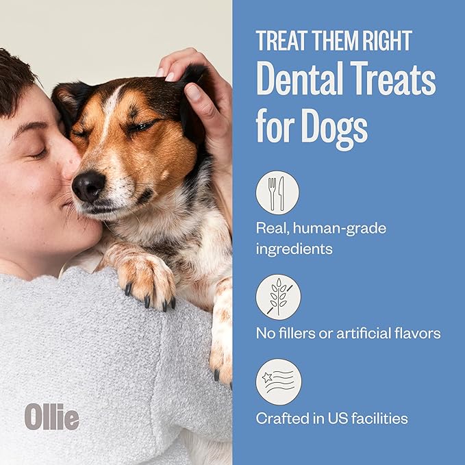 Ollie Dental Chews for Medium Dogs, 12 Oz, Fresh Breath, Teeth Cleaning Treats, Sticks for Dog Oral Care, with Parsley and Cinnimon, for Pups 26-50 lbs