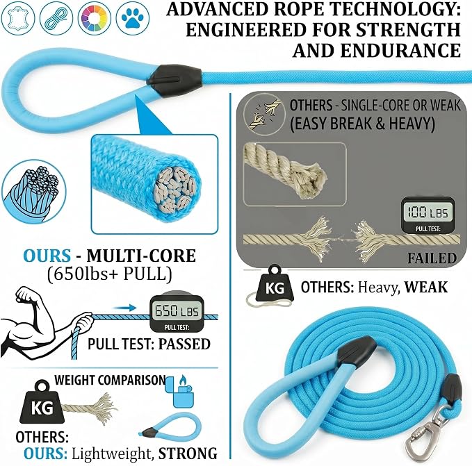 Small Dog Leash, 5ft Dog Leashes for Medium Dogs, Blue Leash, Rope Dogs Leashes, Strong Nylon Pet Lead, Pet Leather, Puppy Lead, Comfortable Leather Handle (Mint Blue, 5 Feet)