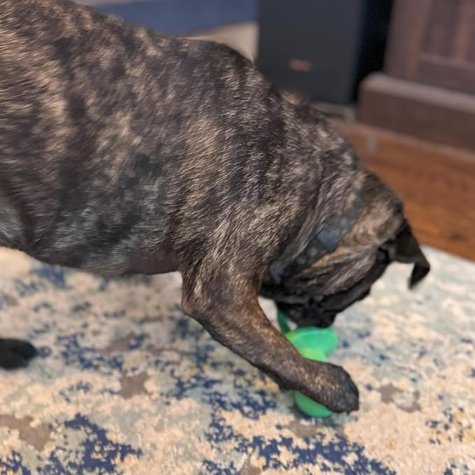 SPOT Puppy Pacifier Latex Dog Toy – Soft Binky-Shaped Chew for Teething Puppies & Small Dogs, 4.5 Inch, for Light Chewers Only, Squeaky Natural Latex, Assorted Colors
