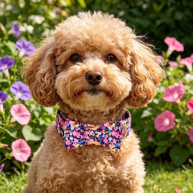 Elegant little tail Dog Collar, Floral Pattern Pet Collars with Bow Girl Cotton Bowtie Collars Spring Puppy Gift Adjustable Pet Collar for Small Dogs