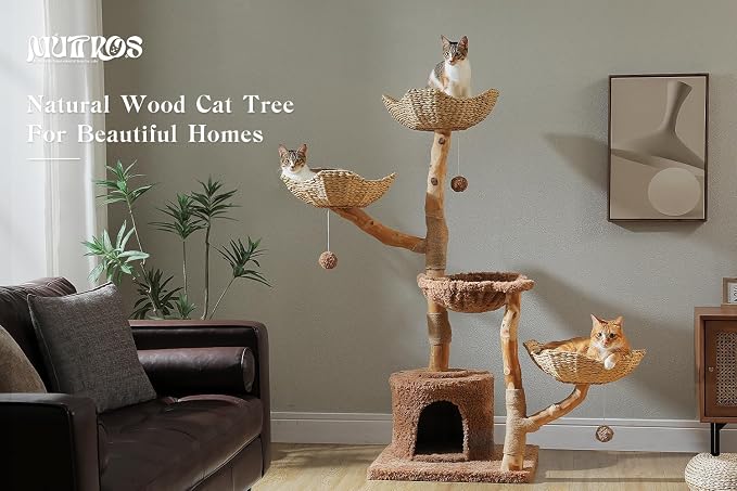 MUTTROS 59" Cat Tree Tower with Real Solid Wood Natural Branch, Modern Cat Tree for Large Cats w/3 Handwoven Wicker Baskets- Luxury Boho Cat Furniture w/Condo & Soft Hammock, Scratching Post, Brown