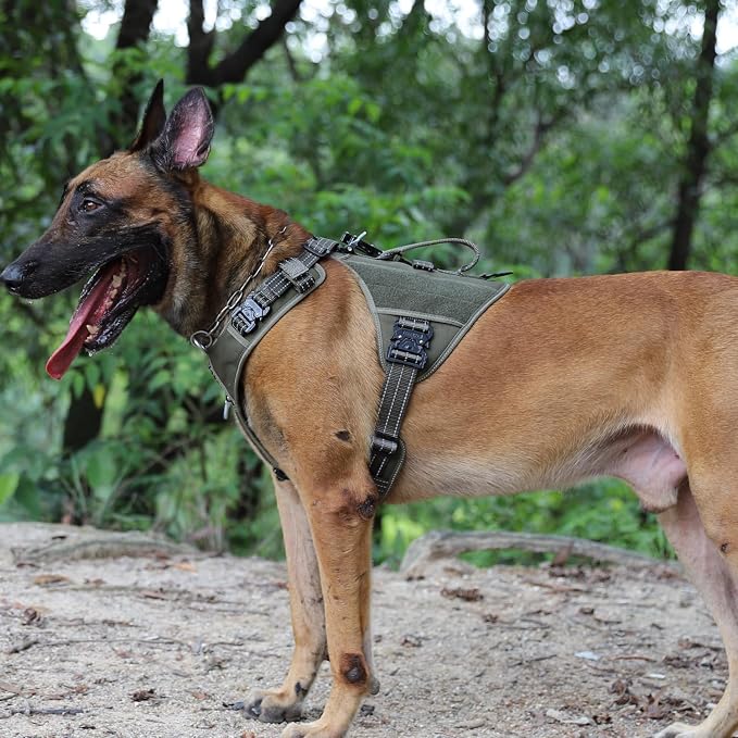 ICEFANG GN8 Tactical Dog Harness with 4X Metal Buckles for Medium Sized Dogs,Reflective in Training Walking K9 Dog Vest,No-Pull Front Leash Clip,Adjustable Pet Harness (Green, Medium (Pack of 1))