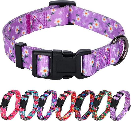 Daisy Girl Dog Collars, Floarl Design for Medium Dogs, Purple