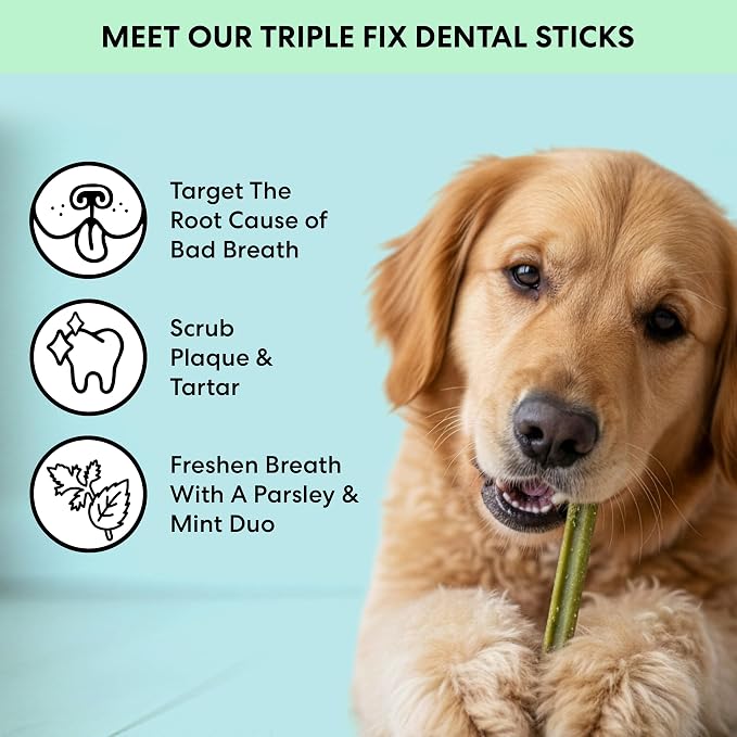 The Pets Table Dental Chews for Dogs 28 Sticks (20 oz), Chicken, Mint & Parsley | Dental Treats/Teeth Cleaning Chews | Removes Plaque and Tarter | Dental Sticks for Bad Breath Treatment | Dental Bones