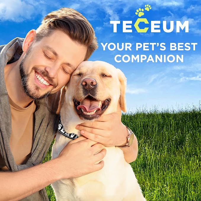 TECEUM Reflective Pet Collar – Black - Service Dog – M – Extra Soft Padding – Basic Nylon Dog Collar – Quick Release Buckle – Fits Small, Medium and Large Dogs, Puppies, Cats