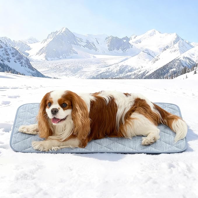 COZY KISS Dog Cooling Mat 20"x30" Q-Max>0.4, Waterproof Pet Bed Cover, Non-Slip Dog Bed Mat, Washable Cooling Pad for Small Dogs, Cats, Crate, Couch, Furniture Protector (Blue)