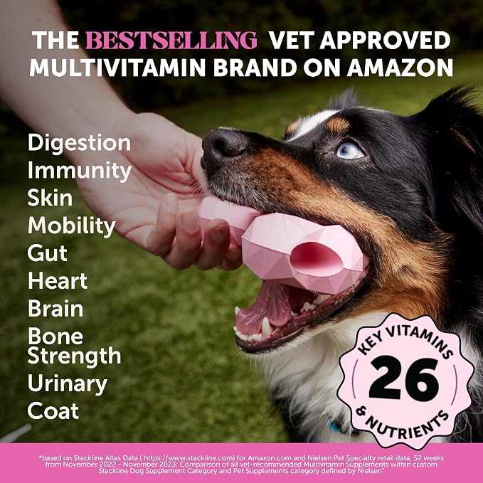 10-in-1 Dog Multivitamin Supplement with Glucosamine & Probiotics - Hip & Joint Support, Digestive Health, Immune Support, Heart & Skin - All-in-One Daily Vitamins & Omega-3s for Dogs (Chicken 180 Ct)