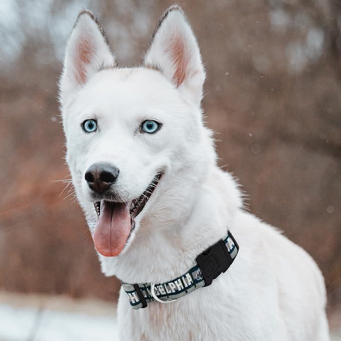 Pets First NFL Philadelphia Eagles Licensed PET COLLAR, Extra Large - Heavy-Duty, Strong, and Durable Dog Collar. Available in 31 Football Teams and 4 Sizes