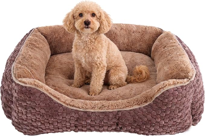 Plush Dog Bed Small, Brown, Machine Washable, Dog Beds Sofa with Pillow Support, 20x19Inch, Corn Kernel Design, Non-Slip Bottom, Thick PP Cotton Padding