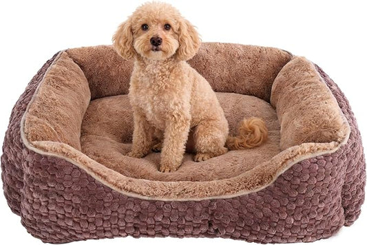 Plush Dog Bed Small, Brown, Machine Washable, Dog Beds Sofa with Pillow Support, 20x19Inch, Corn Kernel Design, Non-Slip Bottom, Thick PP Cotton Padding