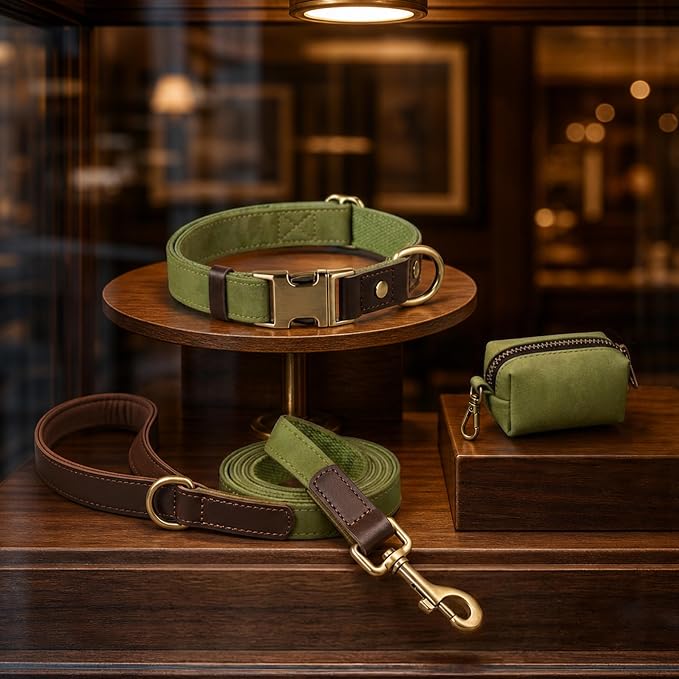 Didog Soft PU Leather Dog Collars for Medium Dogs,Classic Adjustable Dog Collars with Quick Release Metal Buckle,Easy Clean and Comfortable with Nylon Lining,Olive Green,M Neck 14-19"