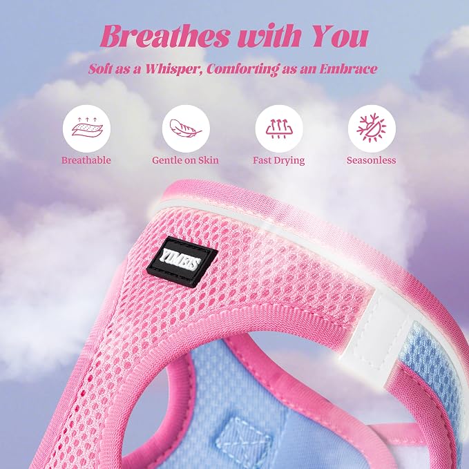 YIMEIS Dog Harness and Leash Set, No Pull Soft Mesh Pet Harness, Reflective Adjustable Puppy Vest for Small Medium Large Dogs, Cats (Pinkblue, Medium (Pack of 1))