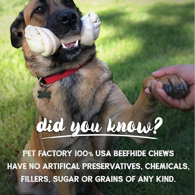 Pet Factory 100% Made in USA Beefhide Chips Dog Chew Treats - Beef & Chicken Flavor, 8 oz