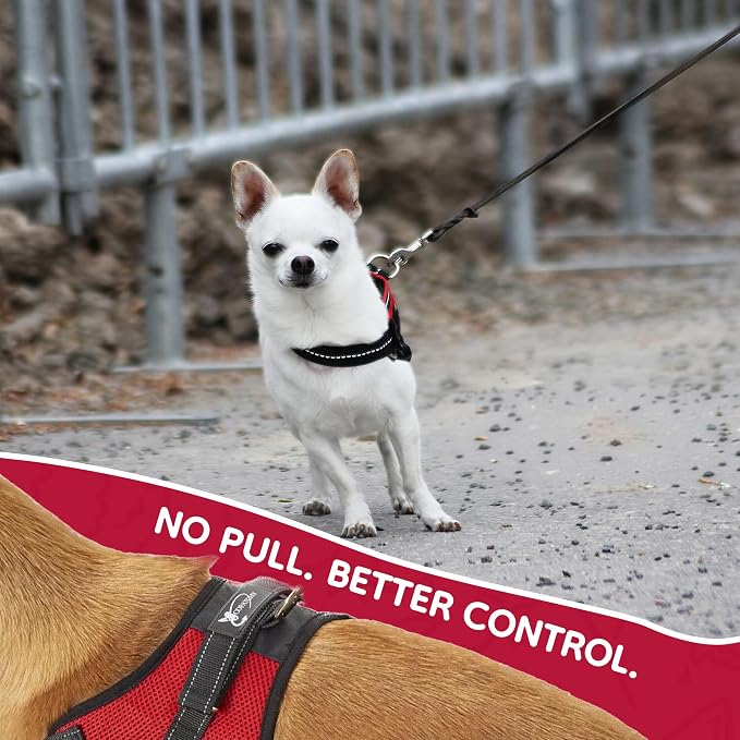 No Pull Reflective Adjustable Dog Harness with Handle- Comfortable Soft All Weather Mesh, Easy On Puppy Harness for Small Medium and Large Dogs (Red) XX-Small
