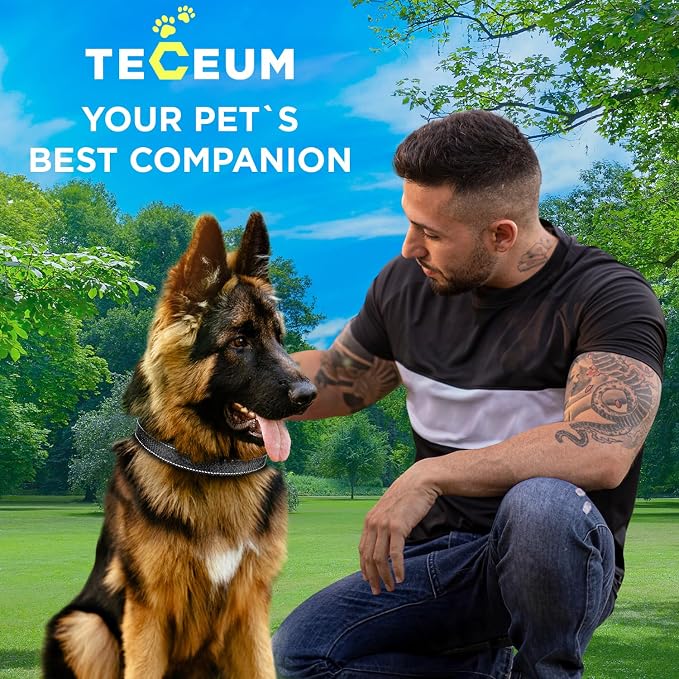 TECEUM Reflective Dog Collar – Black – XS – Extra Soft Padding – Basic Nylon Pet Collar – Quick Release Buckle – Fits Small, Medium and Large Dogs, Puppies, Cats – ESA & Service Dog Options