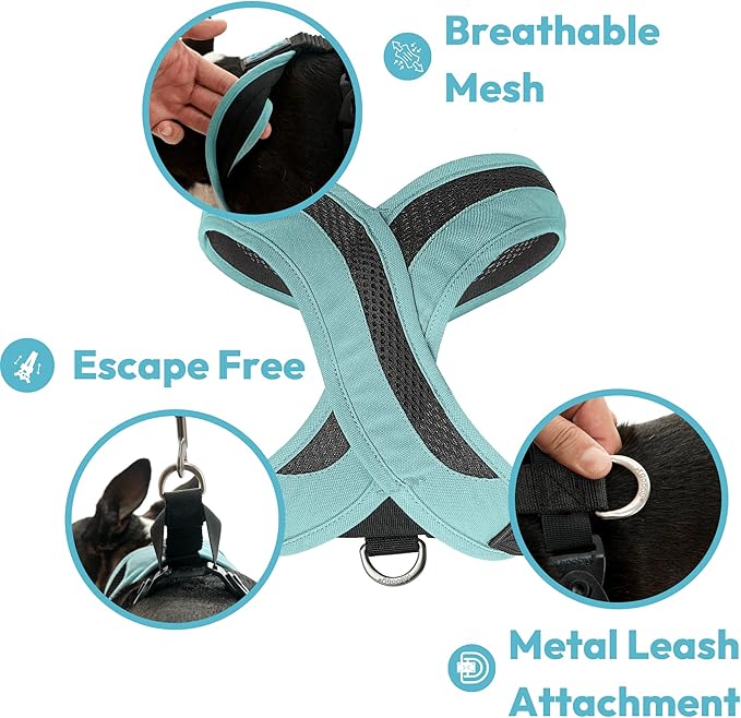 Gooby Comfort X One Dog Harness - Head-in Dog Harness for Small & Medium Sized Dogs - Escape-Free & Choke Free - Breathable Mesh, Shock Absorbing, Easy Snap & Swivel Buckles - Atlanta Peach, Small