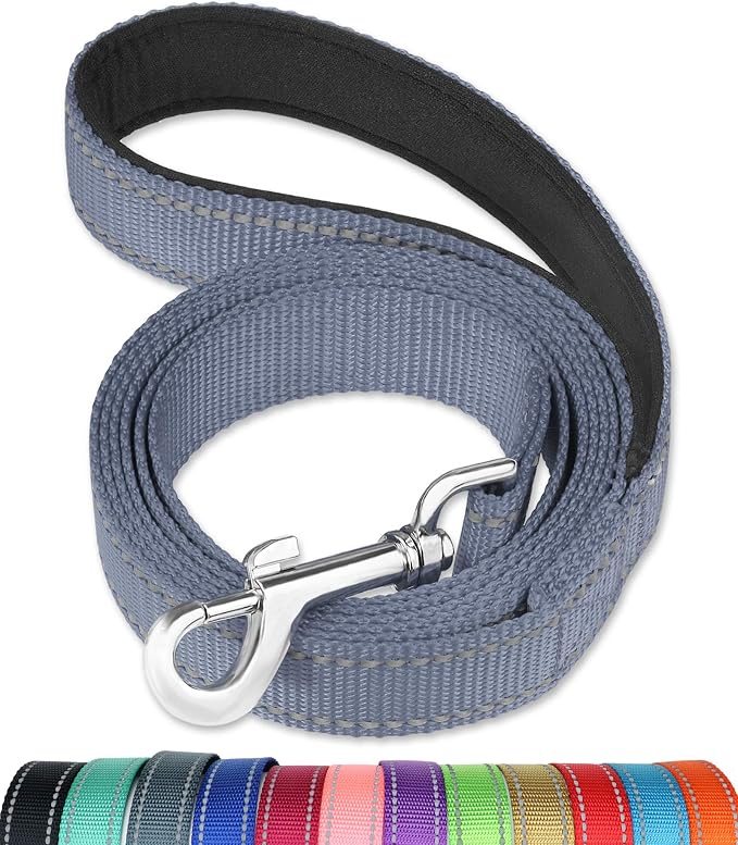 FunTags 6FT Grey Reflective Dog Leash for Large & Medium Dogs Walking, Soft Padded Handle Comfortable Grip, Heavy Duty Nylon, Reflective for Night Walking, 1in Wide