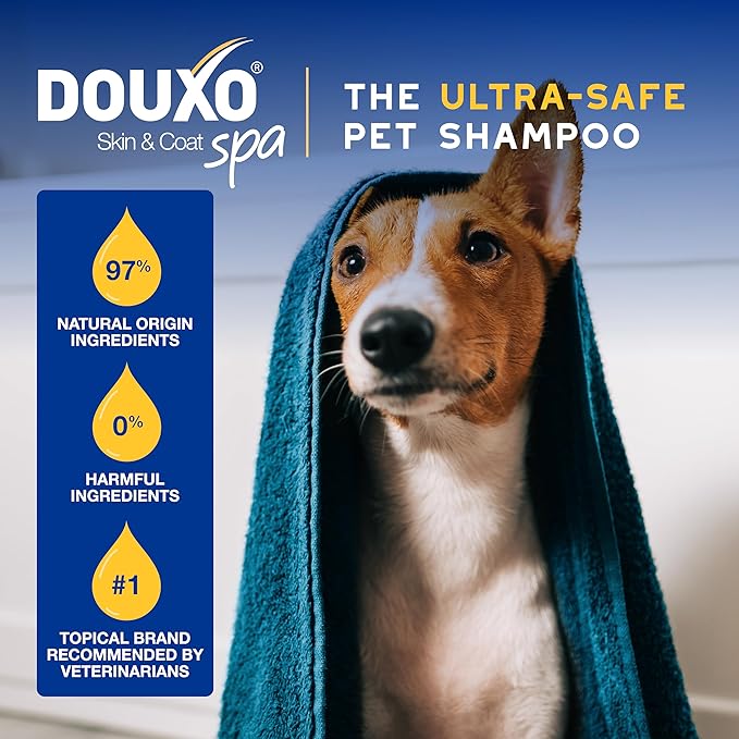 DOUXO SPA Oatmeal Dog Shampoo, 16 fl oz, Moisturizes the Skin, Leaves the Coat Soft and Radiant, Ultra-Safe for Skin and Coat