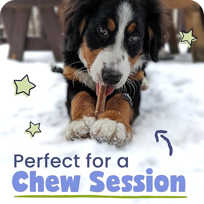 Pawstruck All-Natural 4" Bully Stick Rings for Dogs - Rawhide-Free, 100% Beef, Single Ingredient Dental Chew Bones - Fully Digestible, Low Odor - 3 Pack - Packaging May Vary