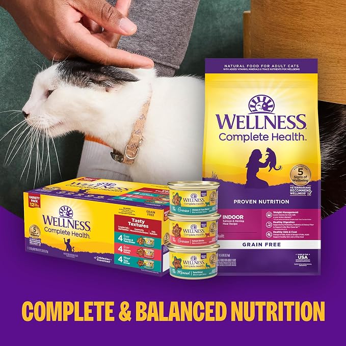Wellness Complete Health Gravy and Minced Variety Pack Adult Canned Wet Cat Food, Natural, Protein Rich, Grain Free, Chicken and Turkey Lovers, 3 oz, Pack of 24 Cans
