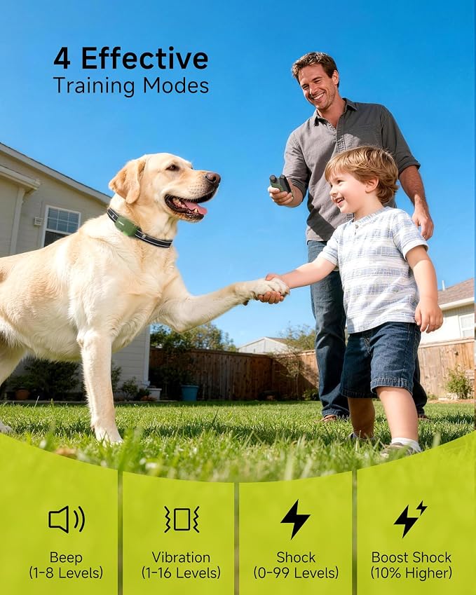 Shock Collar for 2 Dogs (10-120lbs) - 4200FT Dog Training Collar with Remote, IPX8 Waterproof Electric Collar with 4 Training Modes, Rechargeable E-Collar for Large Medium Small Breeds