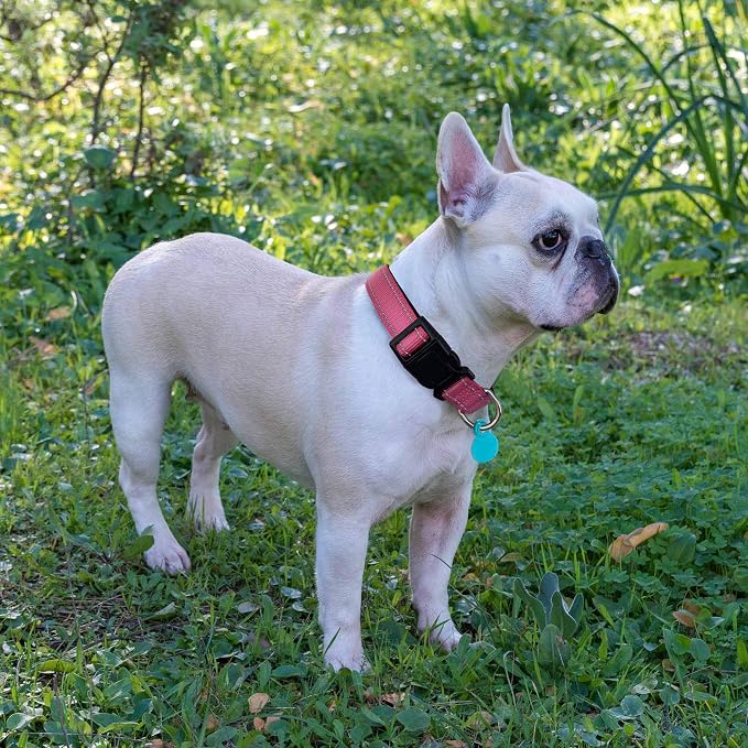 Ladoogo Reflective Dog Collar Padded with Soft Neoprene Breathable Adjustable Nylon Dog Collars for Small Medium Large Dogs (X-Small (Pack of 1), Pink Collar+Leash)