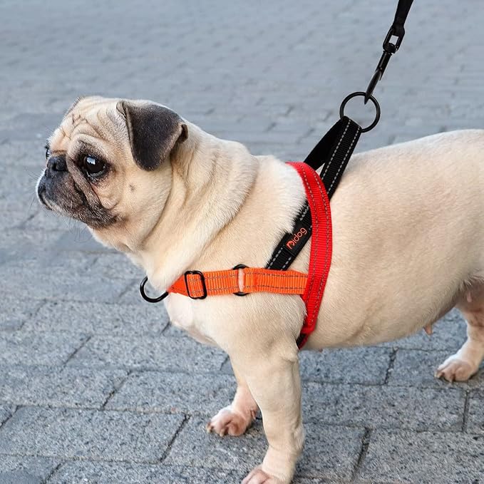 Didog No Pull Dog Harness with Soft Padded Handle, Quick Fit & Lightweight Adjustable Vest Harness, Easy for Training Walking for Small & Medium and Large Dogs(Red,M)